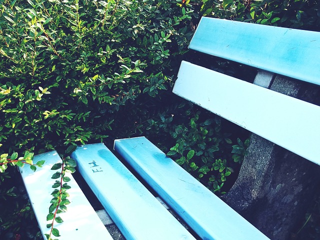 续伴随拜仁 续伴随拜仁