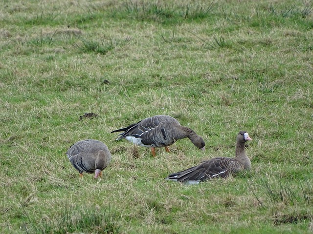 科技与自然 科技与自然