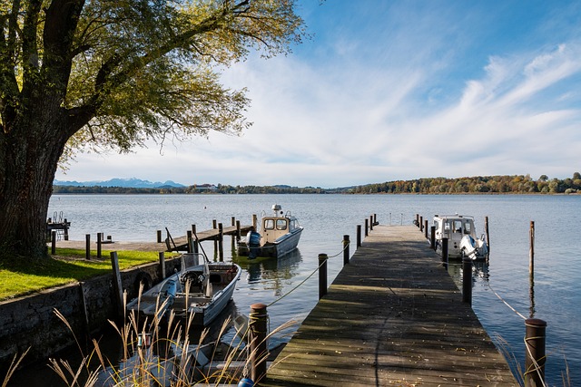 新的活力 新的活力