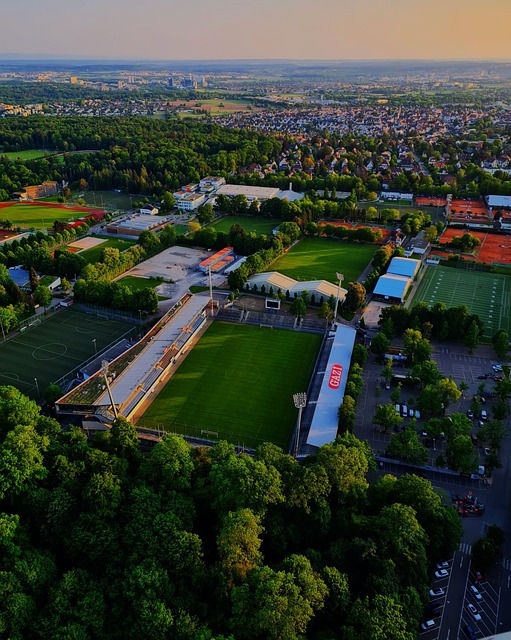 的一家企业 的一家企业