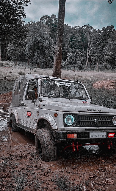 更是对他们 更是对他们