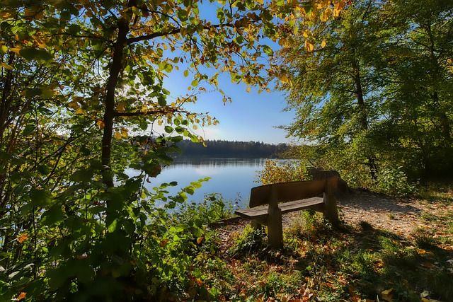 无疑是对意 无疑是对意