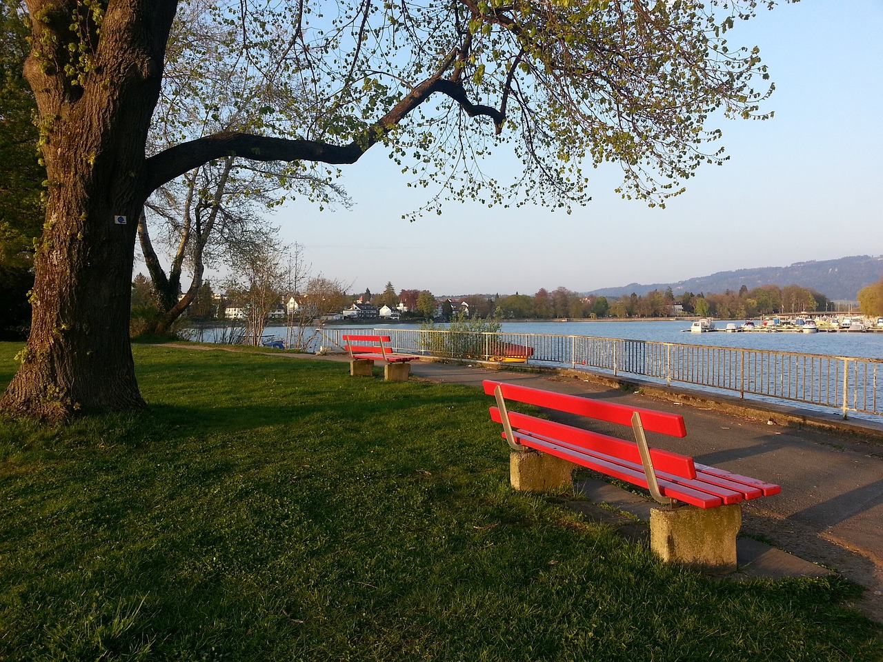 青训班都能 青训班都能